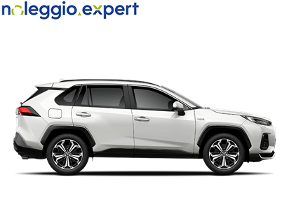 SUZUKI  - 2.5 Plug-In Hybrid Top  - 002570
