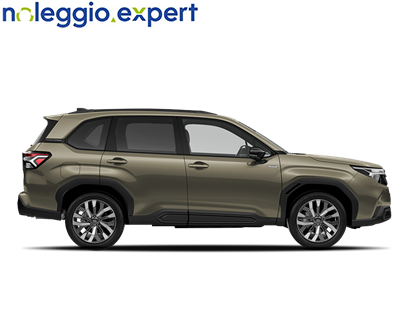 SUBARU - 2.0 Boxer Free - 002611