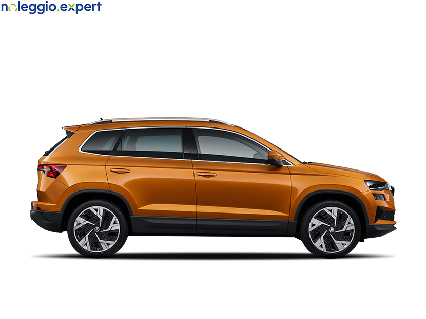 SKODA Karoq 1.0 TSI Selection su noleggio.expert