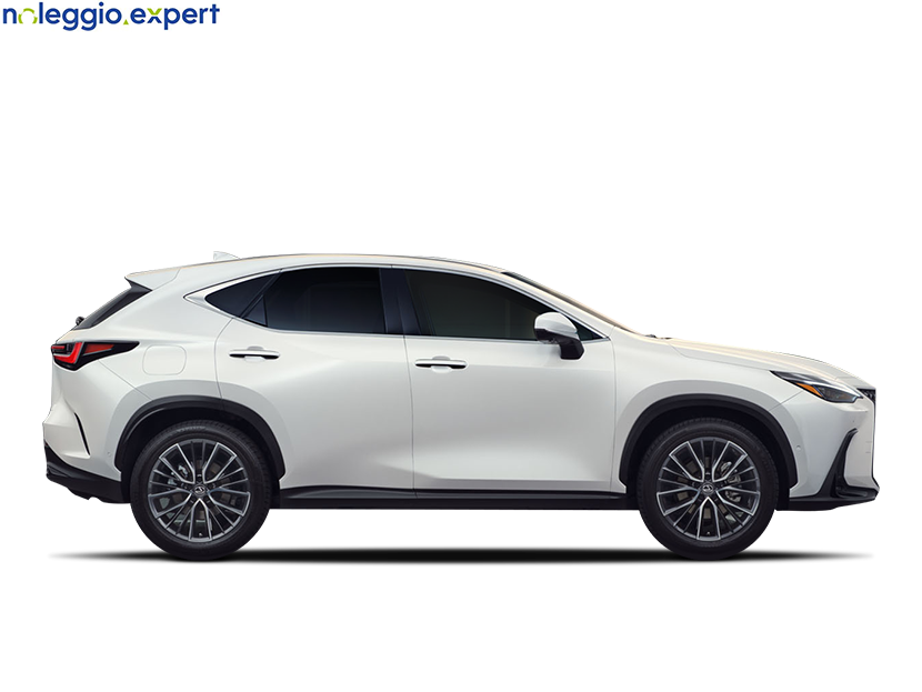 LEXUS NX Business su noleggio.expert