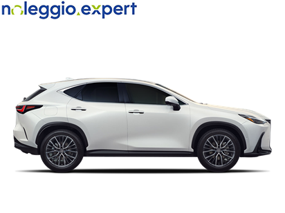 LEXUS  - Business  - 002635