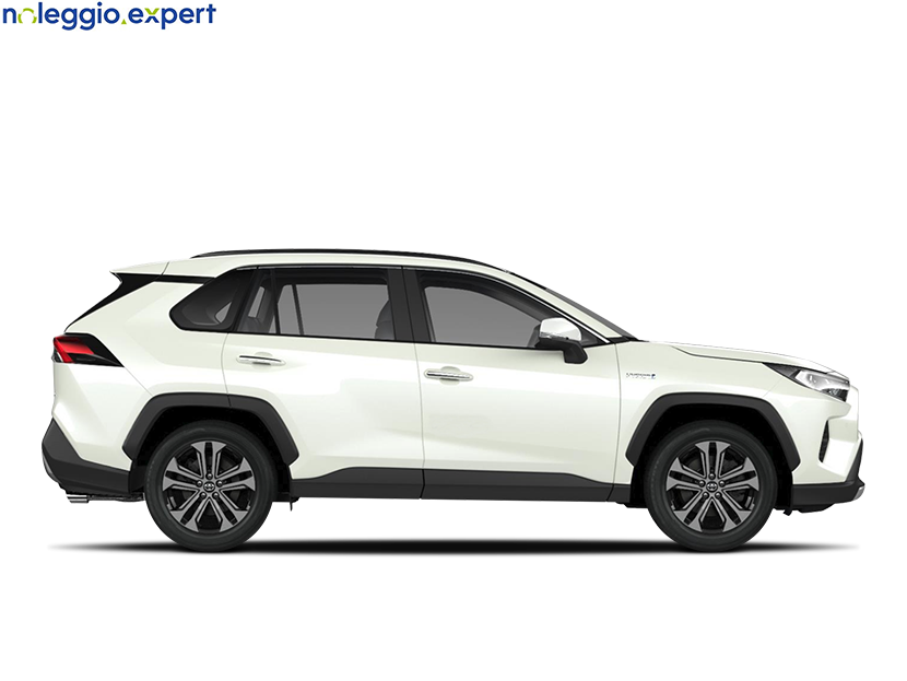 TOYOTA RAV4 PHEV More Dynamic su noleggio.expert